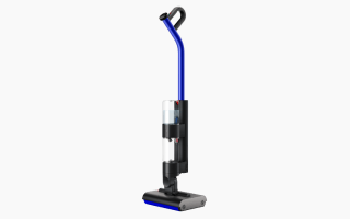 Dyson WashG1