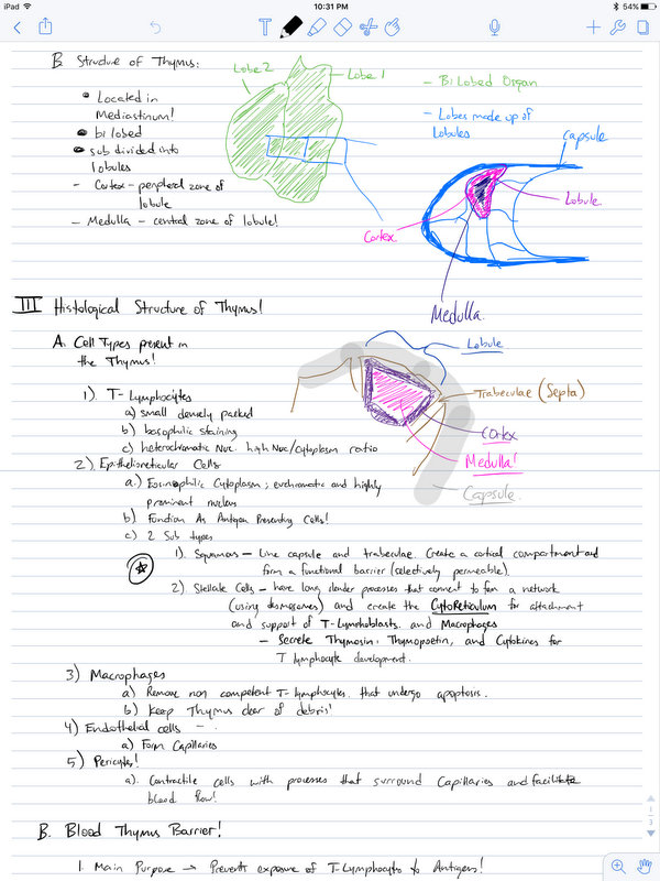 The-Apple-Pencil-in-everyday-action.jpg-2.jpg