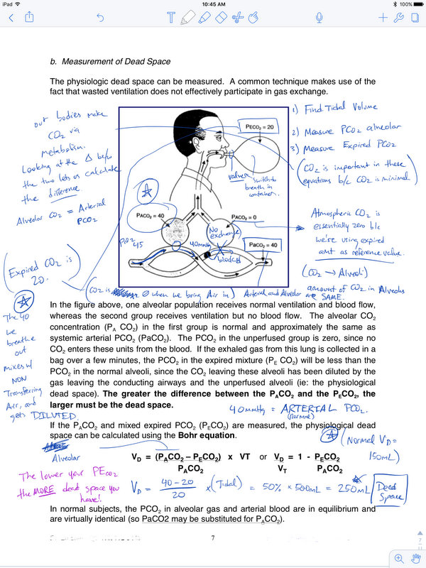 The-Apple-Pencil-in-everyday-action.jpg-3.jpg