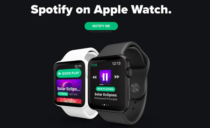 Snowy Spotify Apple Watch 1