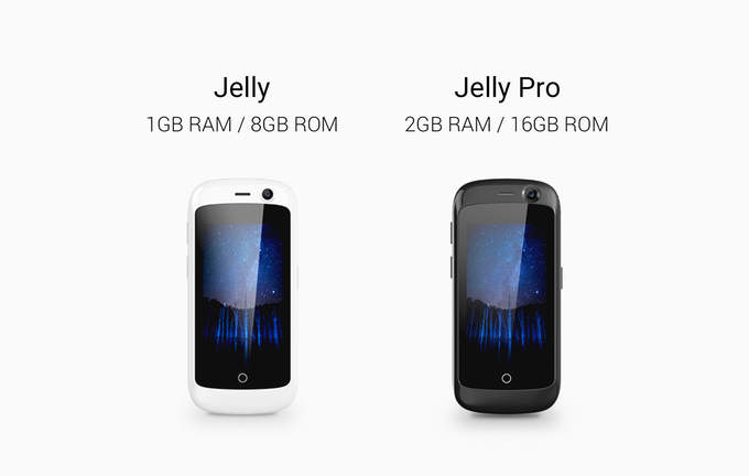 Jelly-9.jpg