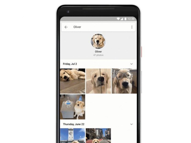 Google Fotos Google Photos Cão Gato