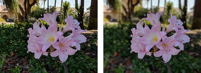 Google Pixel 2 XL fotografia