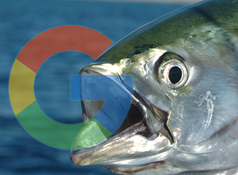 Google Pixel 3 Albacore Super Pixel
