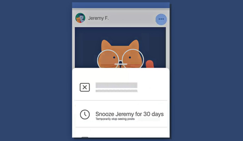 Facebook Snooze amigos chatos