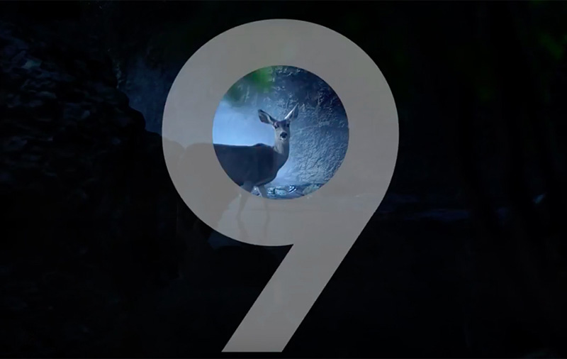 Samsung Galaxy S9