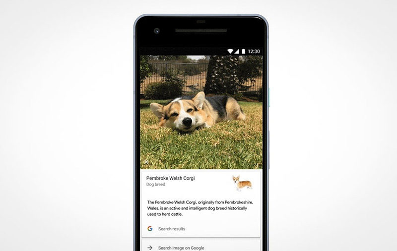 Google Fotos Google Lens