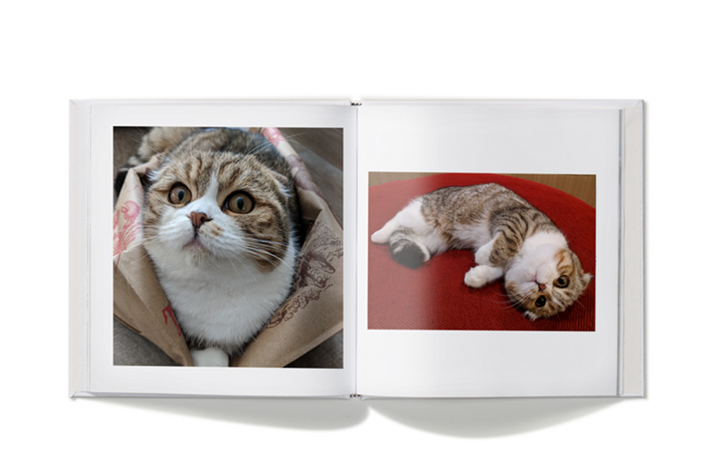 Google Fotos Google Photos Google Lens