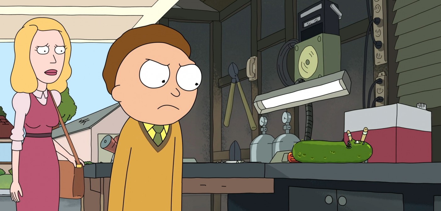 Rick and Morty Adult Swim Pickle Rick