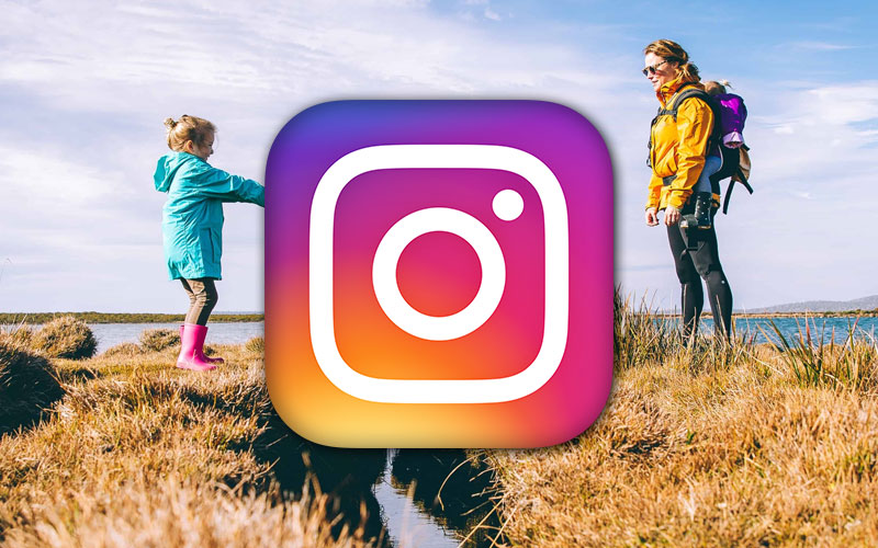 Instagram fake likes seguidores