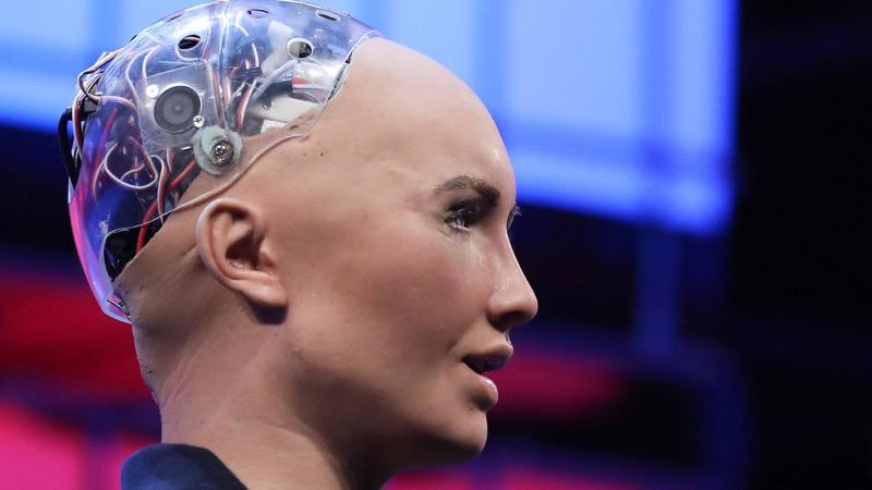 Sophia Huawei Meo Web Summit