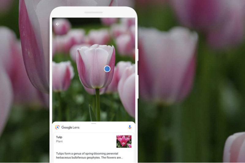 Google Lens iOS Apple Android